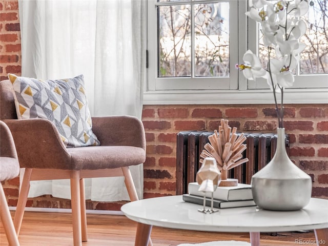 sitting room featuring radiator heating unit