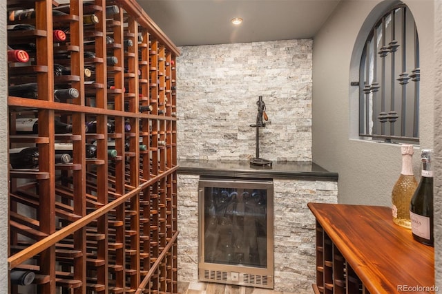 wine room with wine cooler