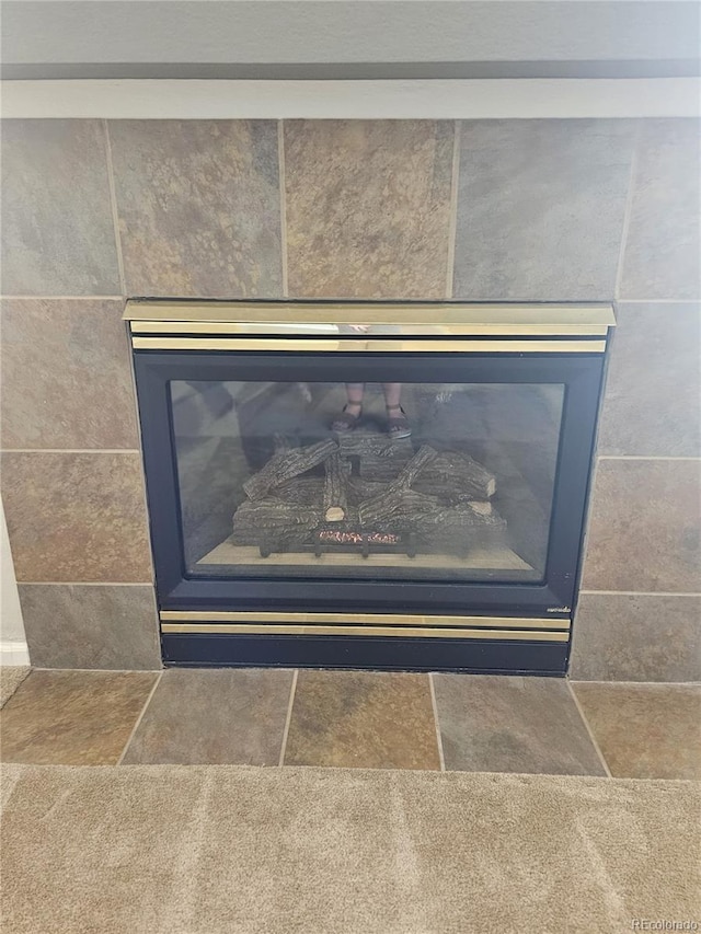 21580 Longs Peak Ln, Parker, CO 80138 - detailed view