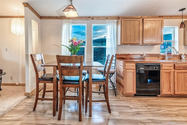 kitchen featuring dishwasher, light carpet, sink, hanging light fixtures, and ornamental molding