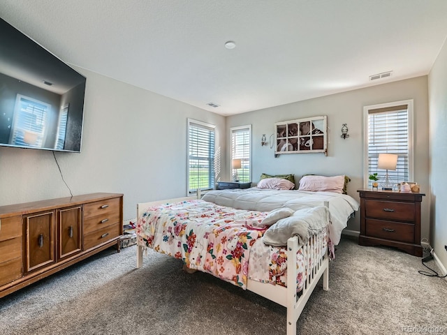 607 Azalea St, Brighton, CO 80601 - bedroom featuring light colored carpet and multiple windows