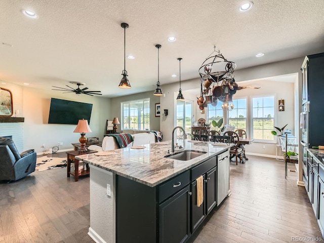 607 Azalea St, Brighton, CO 80601 - kitchen with open floor plan, ceiling fan, dark wood-style floors, a textured ceiling, and dishwasher