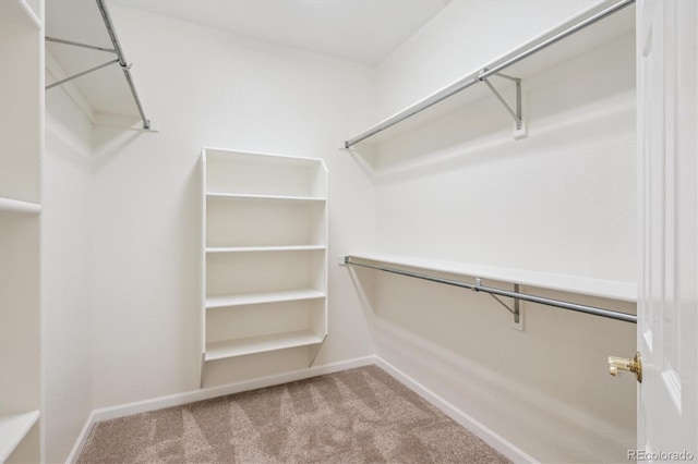 11237 W Ford Dr, Lakewood, CO 80226 - spacious closet with carpet floors