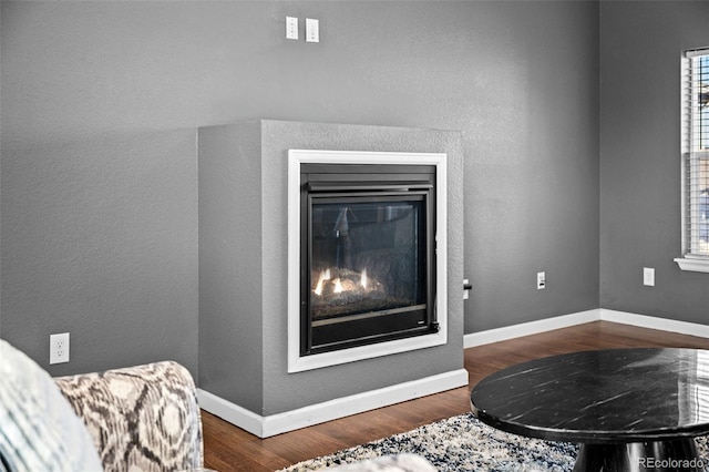 room details with baseboards, wood finished floors, and a glass covered fireplace