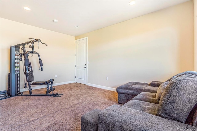 7172 S Oakleaf St, Bennett, CO 80102 - workout area with baseboards, carpet, and recessed lighting