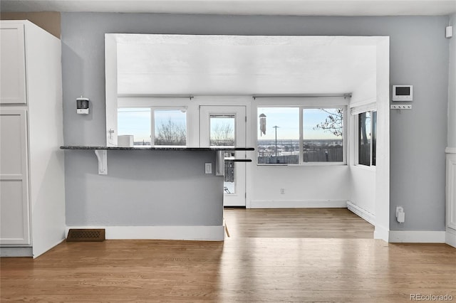 unfurnished living room featuring light hardwood / wood-style flooring