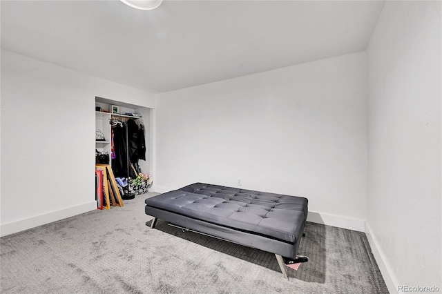 bedroom featuring a closet and carpet