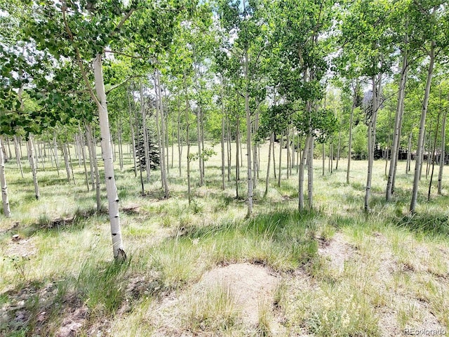 Listing photo 3 for 1530 Swiggler Rd, Como CO 80432