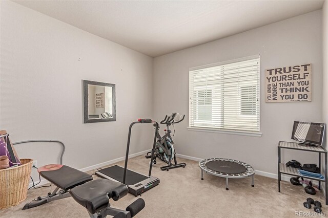 exercise room featuring carpet flooring and baseboards