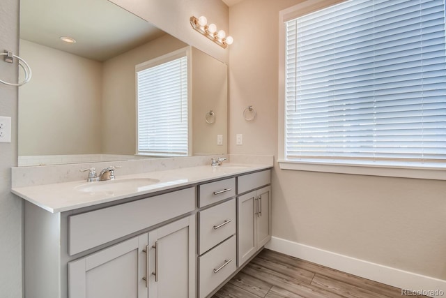bathroom with double vanity, wood finished floors, baseboards, and a sink