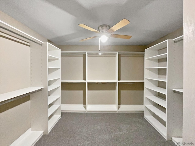 spacious closet featuring ceiling fan and dark carpet