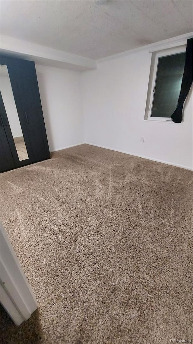 unfurnished room featuring carpet floors