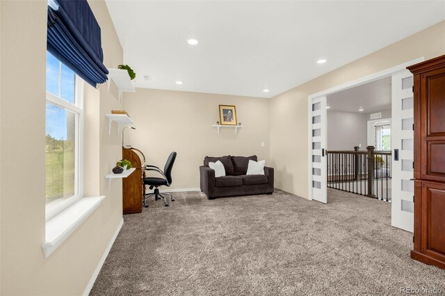 3434 Antelope Ridge Trl, Parker, CO 80138 - carpeted office with recessed lighting and baseboards