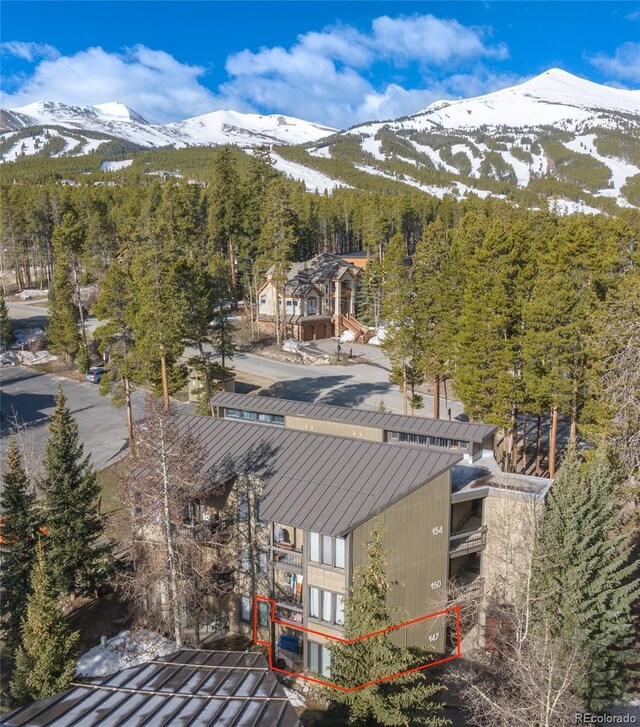 1179 Ski Hill Rd Unit 147, Breckenridge, CO 80424 - photo 31
