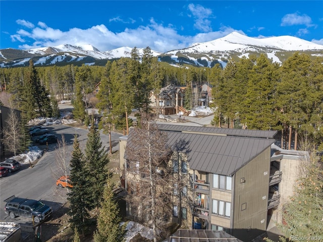 1179 Ski Hill Rd Unit 147, Breckenridge, CO 80424 - photo 38