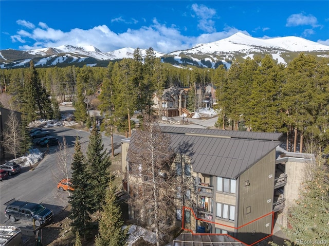 1179 Ski Hill Rd Unit 147, Breckenridge, CO 80424 - photo 39