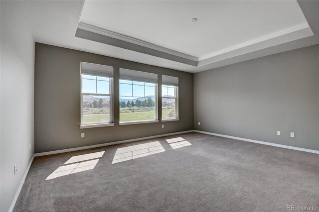 19454 W 58th Pl, Golden, CO 80403 - photo 12