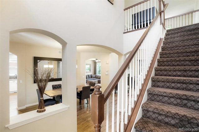 687 Briar Haven Dr, Castle Pines, CO 80108 - photo 5
