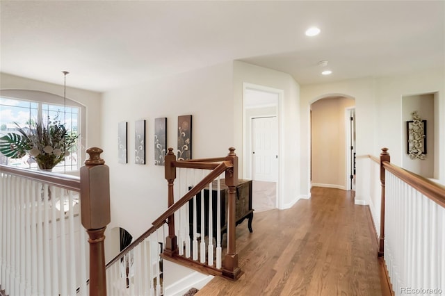 687 Briar Haven Dr, Castle Pines, CO 80108 - photo 23