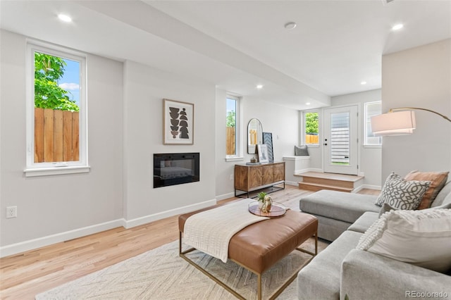 1046 N Knox Ct, Denver, CO 80204 - living area with wood finished floors, a glass covered fireplace, and recessed lighting