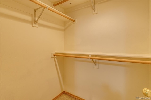 6041 Pioneer Mesa Dr, Colorado Springs, CO 80923 - view of walk in closet