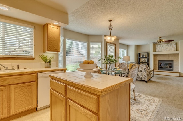 6041 Pioneer Mesa Dr, Colorado Springs, CO 80923 - photo 9
