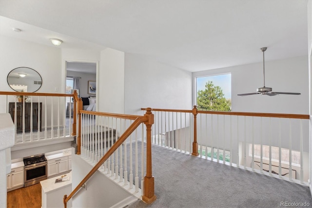 4526 Lyndenwood Pt, Highlands Ranch, CO 80130 - hallway featuring an upstairs landing and carpet