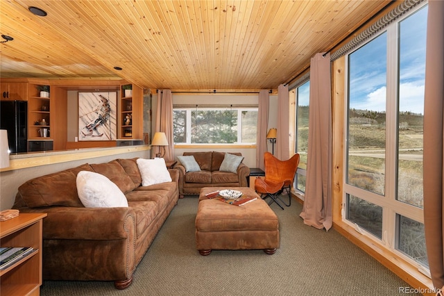 96 Mountain Side Dr Unit B61, Granby, CO 80446 - carpeted living room featuring wood ceiling and built in shelves