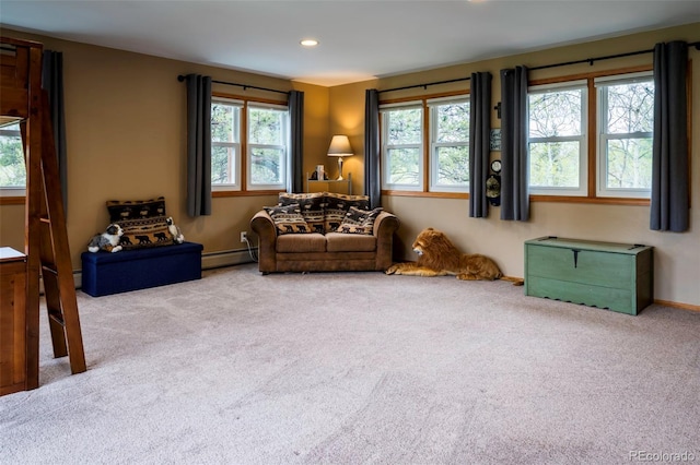 33 Sparrow Ct, Bailey, CO 80421 - carpeted living room with a baseboard radiator and recessed lighting