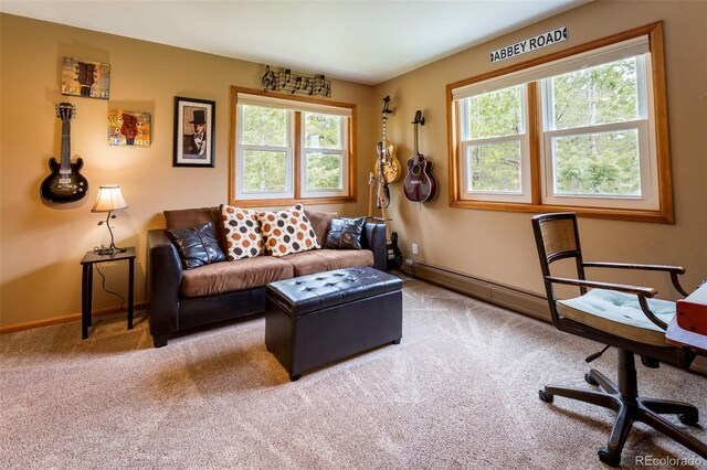 33 Sparrow Ct, Bailey, CO 80421 - living area with carpet floors and baseboards