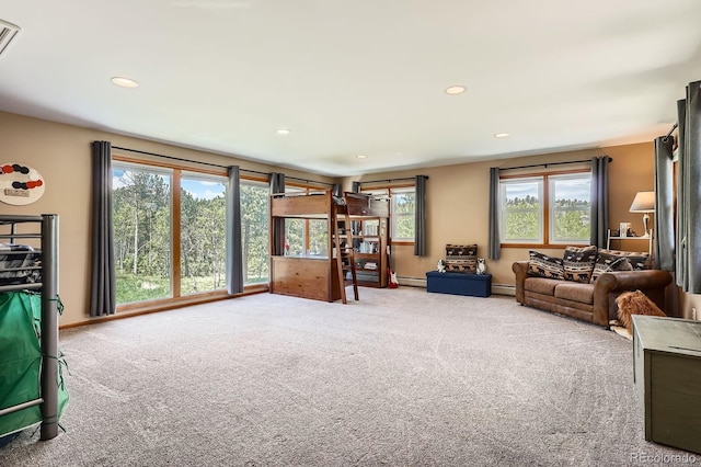 33 Sparrow Ct, Bailey, CO 80421 - carpeted living room featuring baseboard heating and recessed lighting