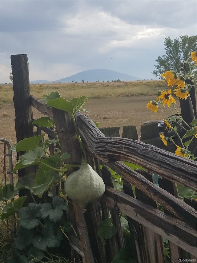 details with a mountain view