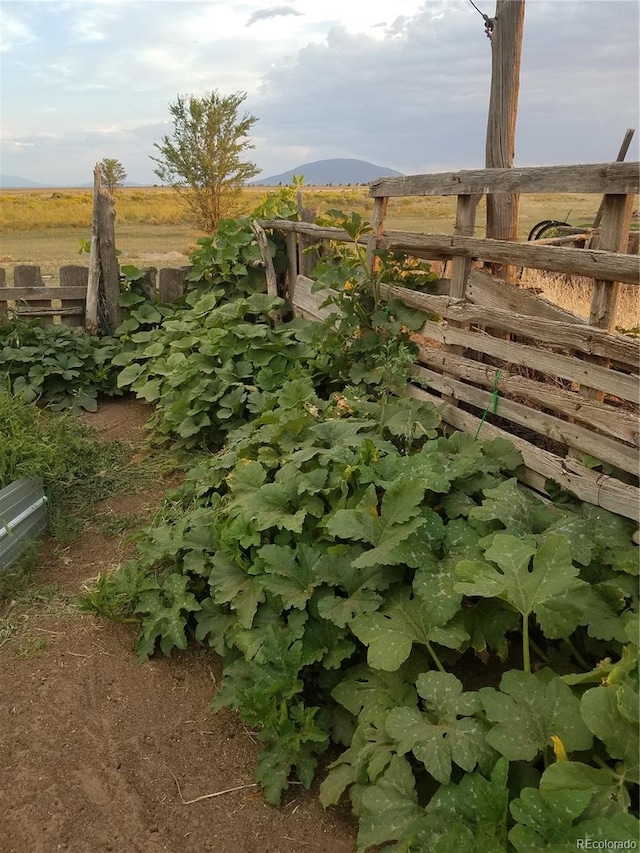 view of yard with a rural view