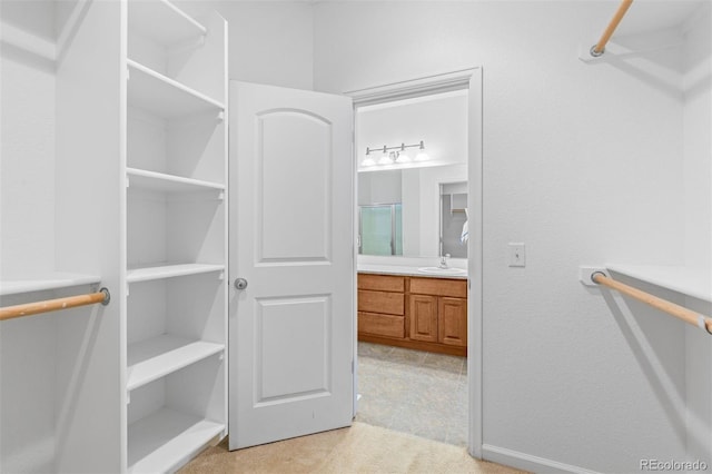 walk in closet featuring light carpet and sink