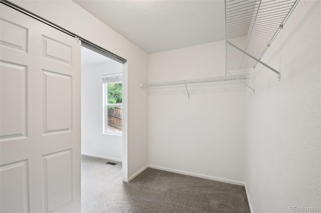 11847 Trail View Ln, Parker, CO 80134 - walk in closet with carpet