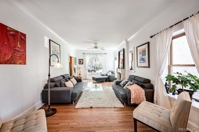 living room with ceiling fan, crown molding, a healthy amount of sunlight, and light wood-type flooring