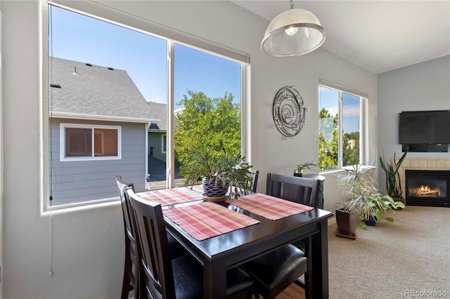 1049 S Walden Way Unit 257, Aurora, CO 80017 - photo 10