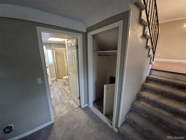 1962 S Ivory Way, Aurora, CO 80013 - stairs with baseboards