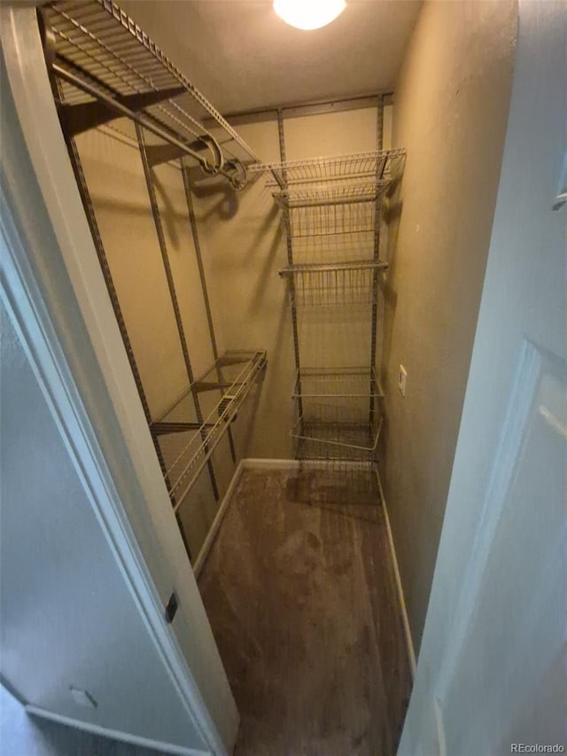 1962 S Ivory Way, Aurora, CO 80013 - view of walk in closet