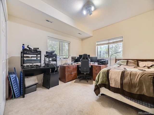 11526 Green Cir, Conifer, CO 80433 - bedroom with light carpet and a desk