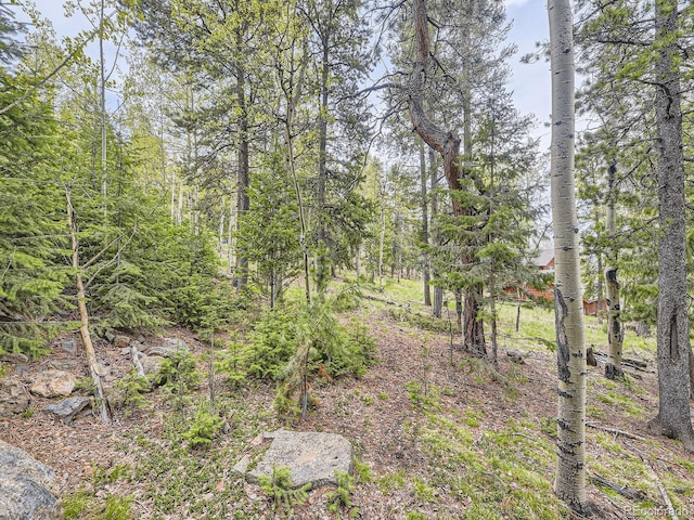 11526 Green Cir, Conifer, CO 80433 - view of local wilderness
