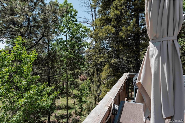 11526 Green Cir, Conifer, CO 80433 - view of balcony