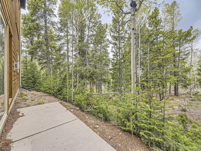 11526 Green Cir, Conifer, CO 80433 - view of patio / terrace