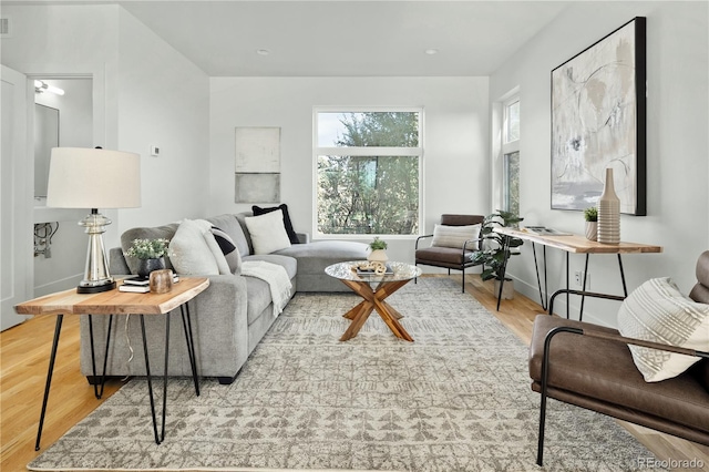 living room with light hardwood / wood-style flooring