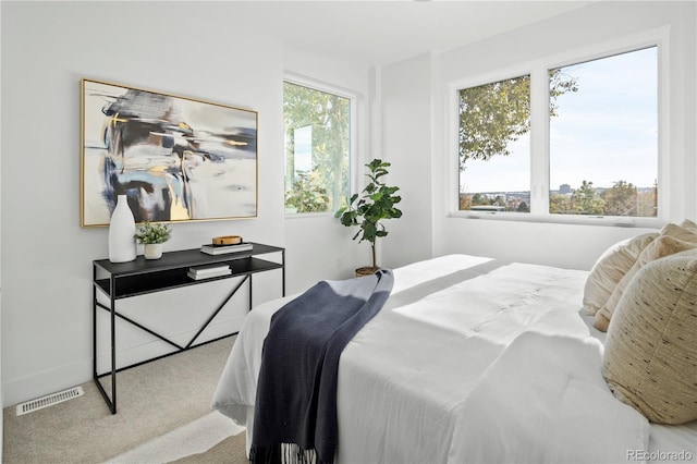 bedroom with multiple windows and light carpet