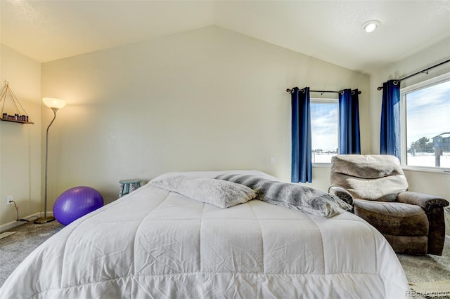 bedroom with lofted ceiling and carpet floors