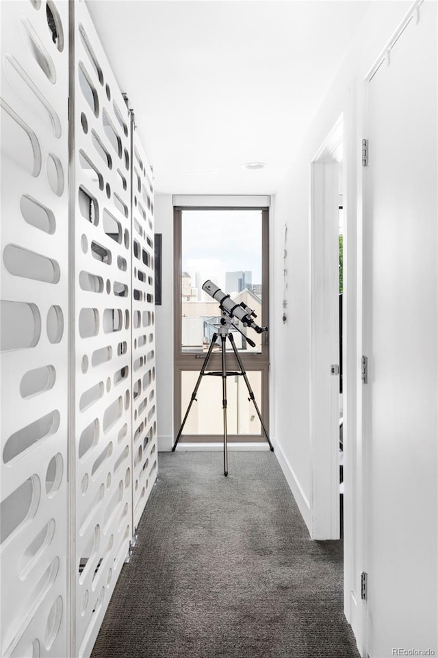 879 Delaware St, Denver, CO 80204 - corridor featuring carpet and healthy amount of natural light