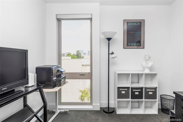 879 Delaware St, Denver, CO 80204 - view of carpeted home office