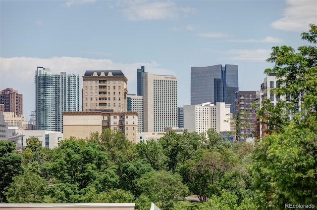 879 Delaware St, Denver, CO 80204 - view of city skyline