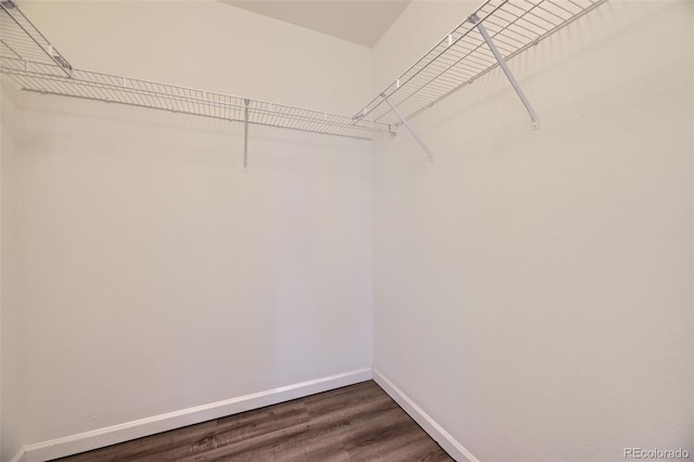 spacious closet with dark wood-style floors